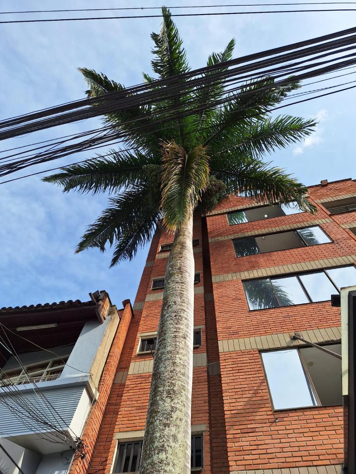 Hotel Suramericana Medellín Exterior foto